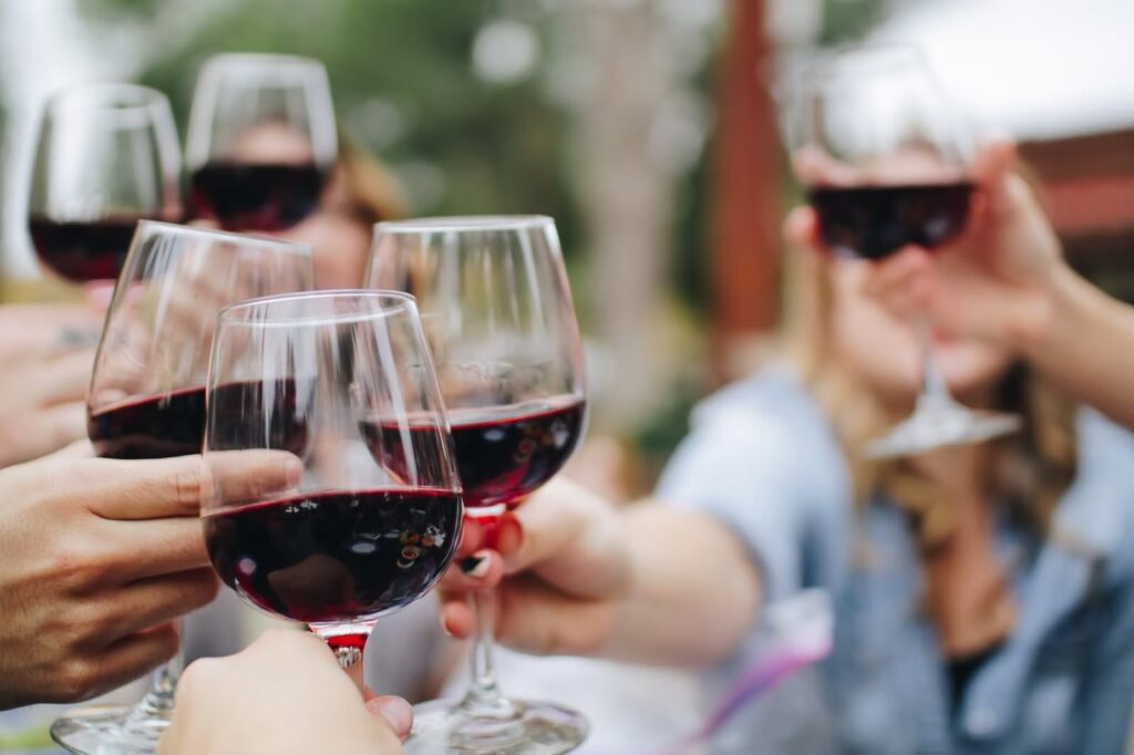 Terras Wine Festival nasce para colocar a cidade no mapa dos grandes eventos de vinho
